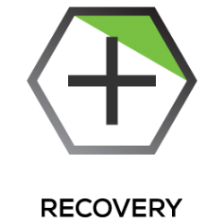 2-Recovery-Icon